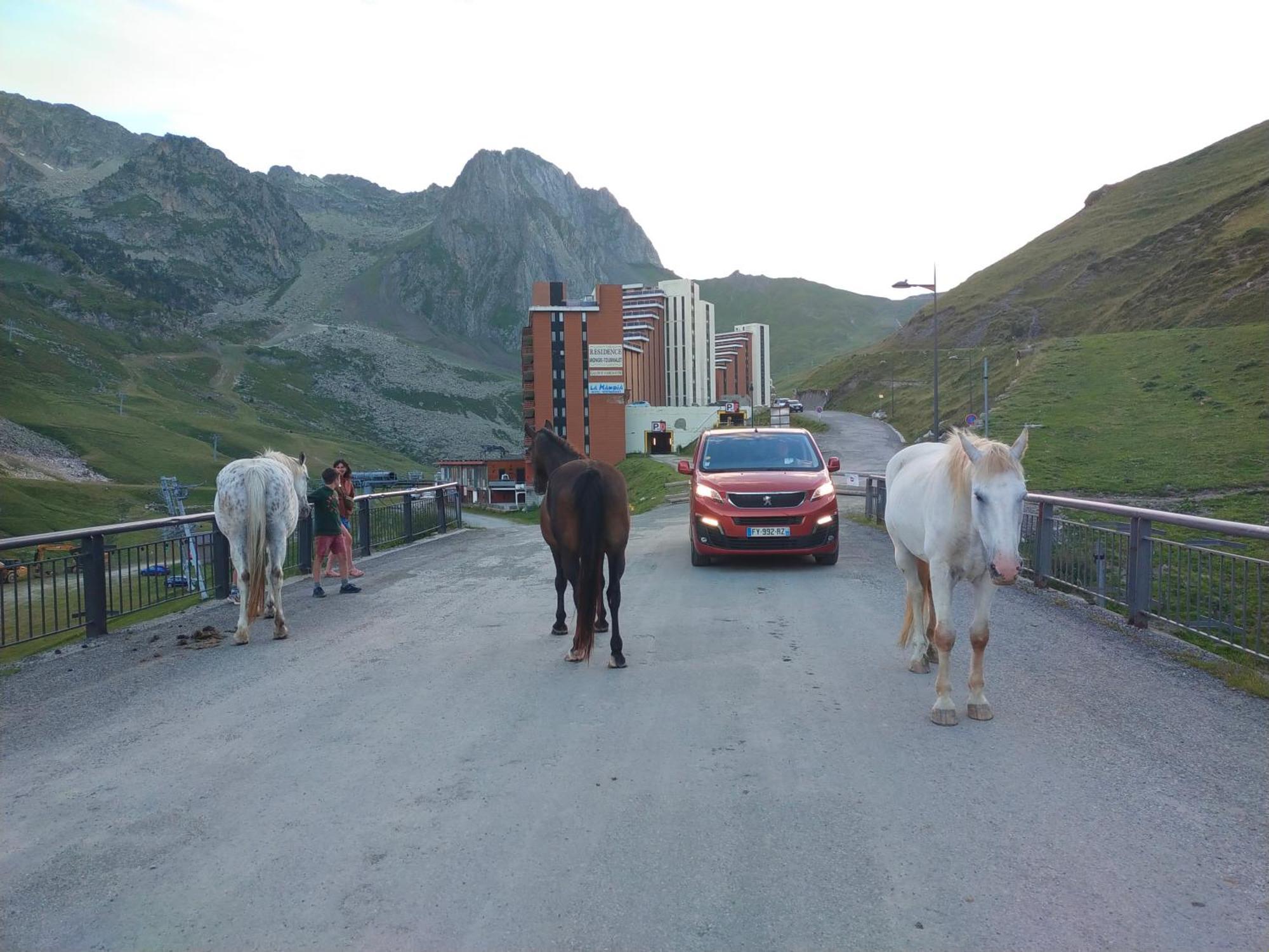 Le Petit Studio Du Tourmalet Pied Des Pistes - La Mongie Ngoại thất bức ảnh